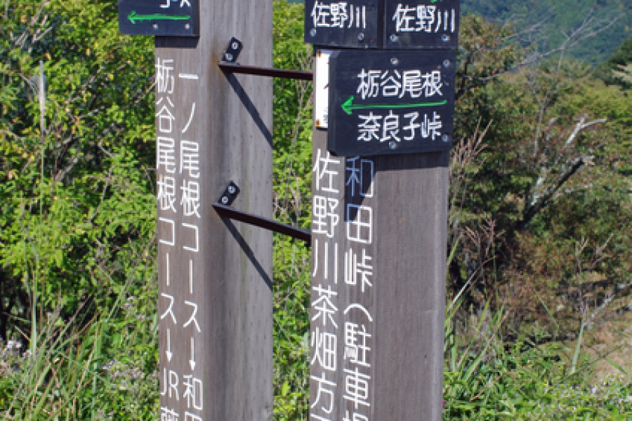 Recorrido de senderismo Tochiya One Ridge (escalada del monte Jinba)