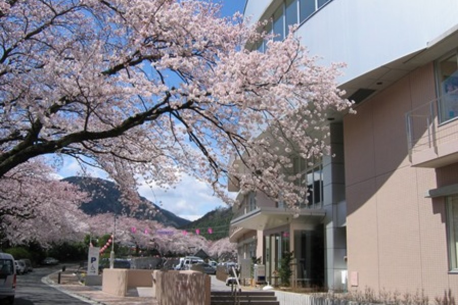Yamakita machi Health and welfare center Sakurano yu(cherry blossoms)