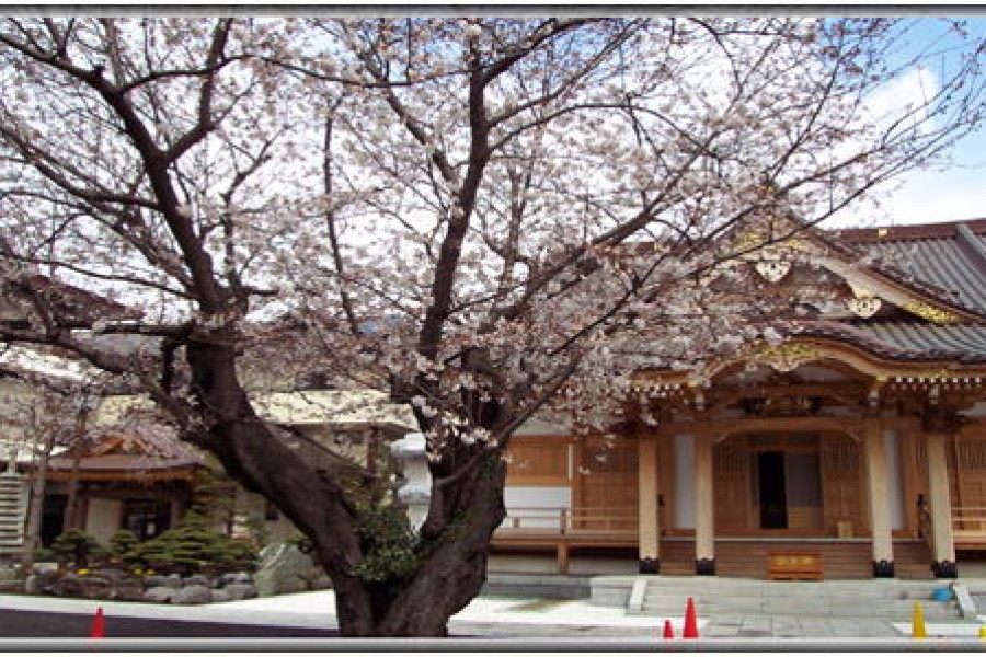 Le Temple Myouzen-ji