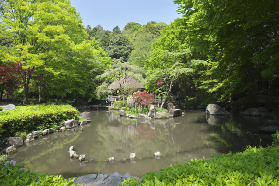 Công viên rừng Higashi-Takane