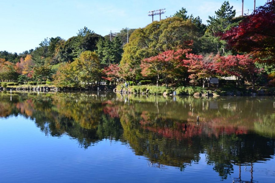 Le parc naturel Kodomo ou parc Oike