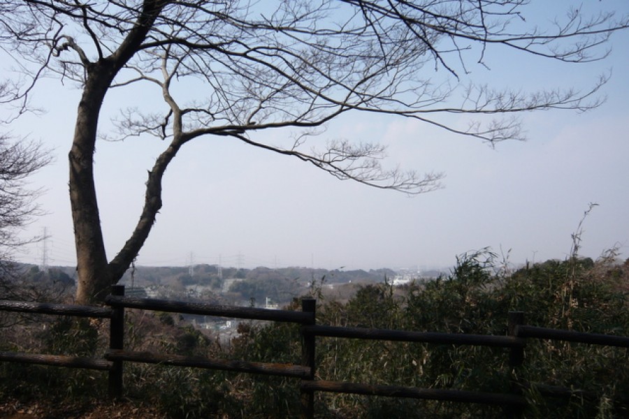 Shizakai Park