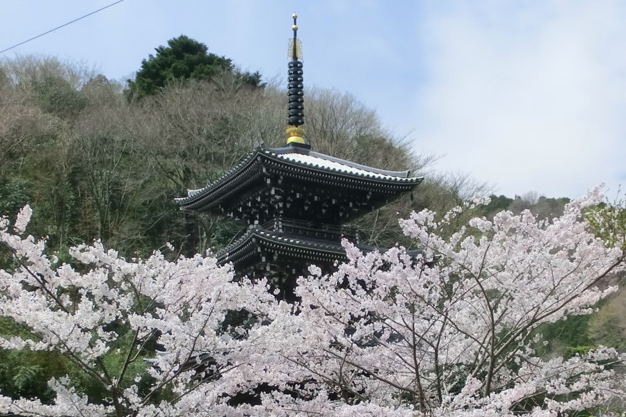 Johotsugan-ji Tempel