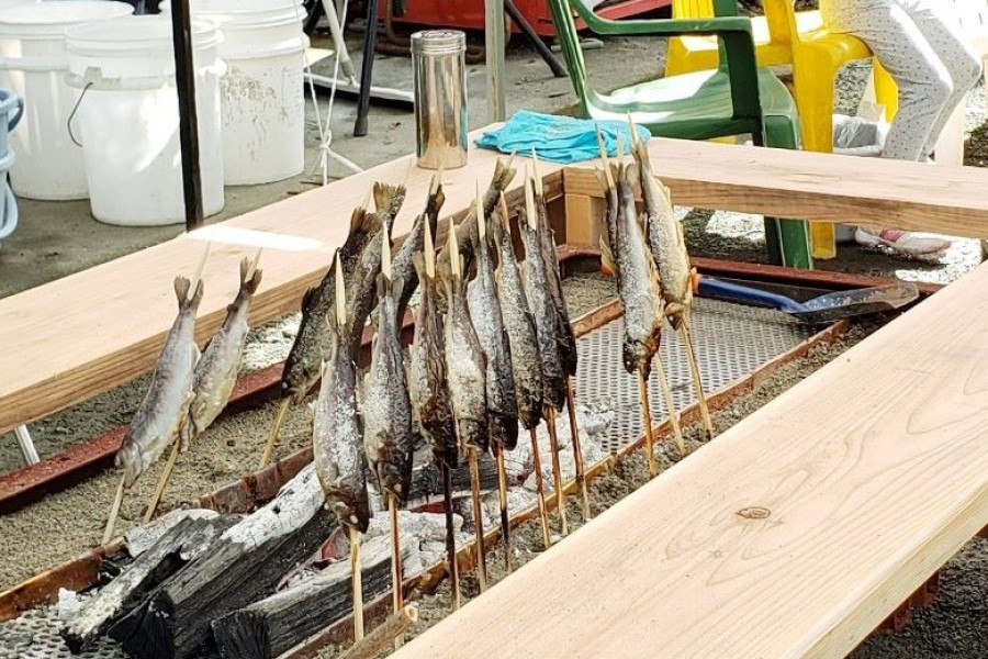 Pêche à la truite Yadoriki Seiryu 