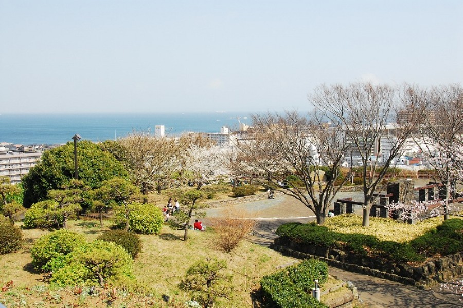Công viên trung tâm Yokosuka