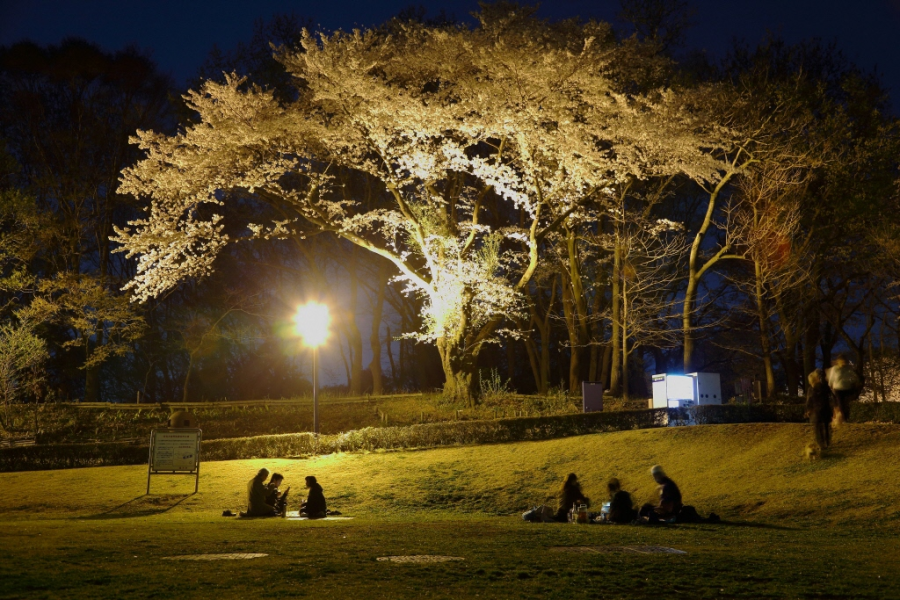 Le parc Bosai-no-Oka (Parc de prévention des catastrophes naturelles)