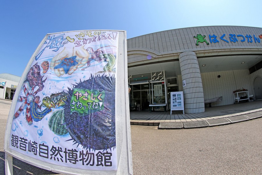 觀音崎自然博物館