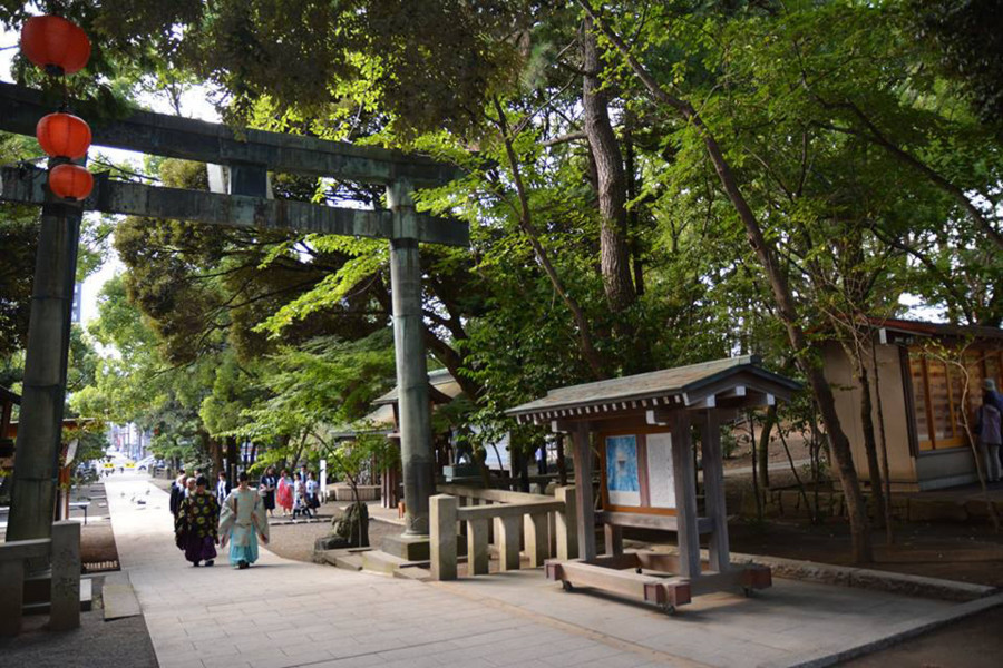 参观平冢的湘南神社和博物馆