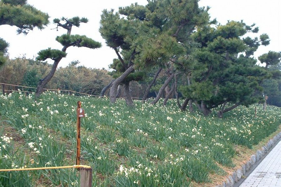 현립 조가시마 공원