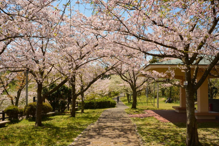 츠카야마 공원