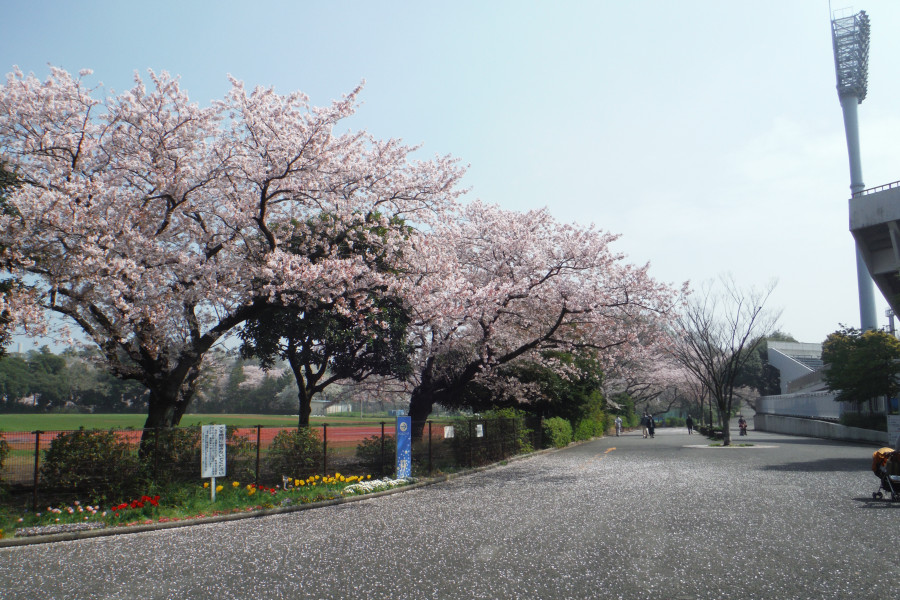 Mitsuzawa Park