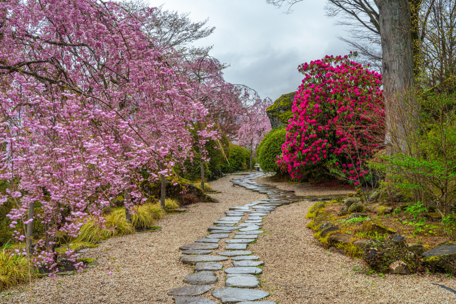 Parque Hakone Gora