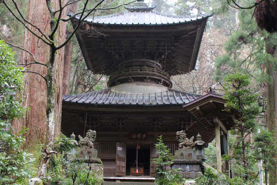 Discover the Zen Spiritual Experience with a Volunteer Guide in Saijoji Temple
