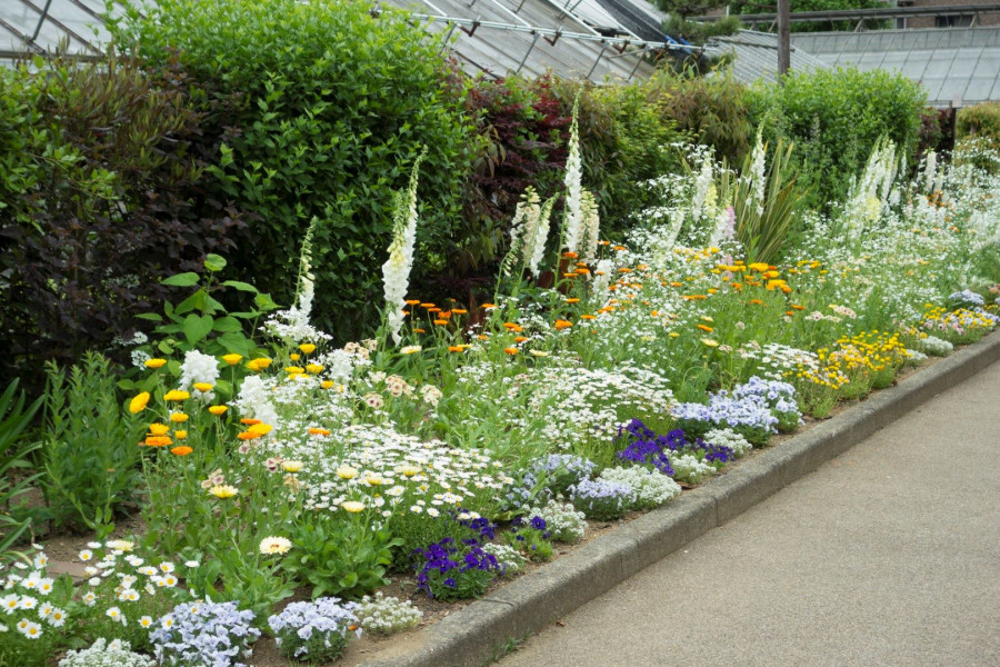 Centro botánico de la ciudad de Kawasaki