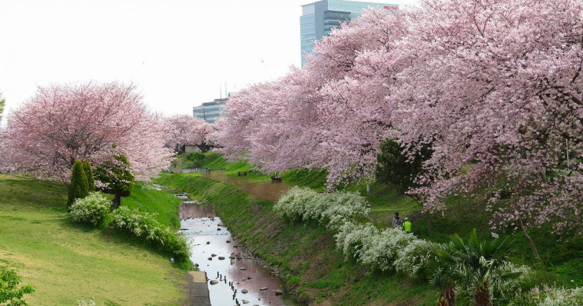 県立相模三川公園 - 目的地 - Tokyo Day Trip