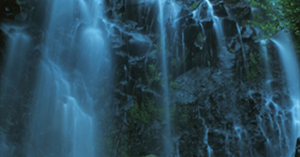 2d71e74417c38b86e1fbcd394e87f2