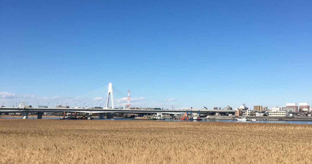 Biseksuallar eshak suratda sikishmoqda