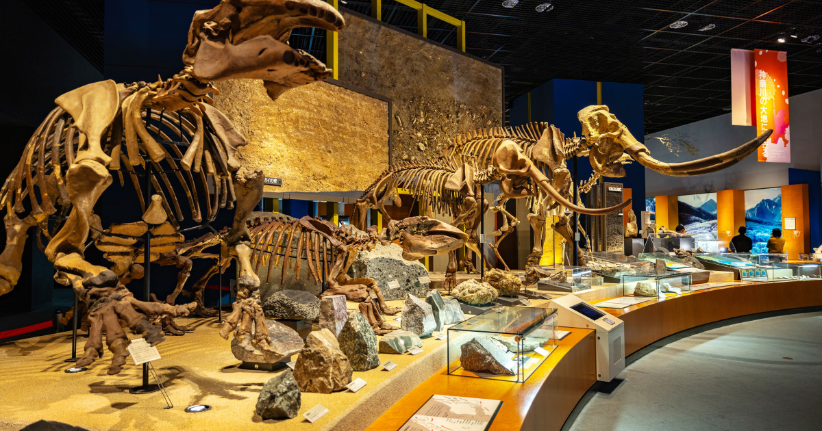 Natural History Development in Japan an… 21a0