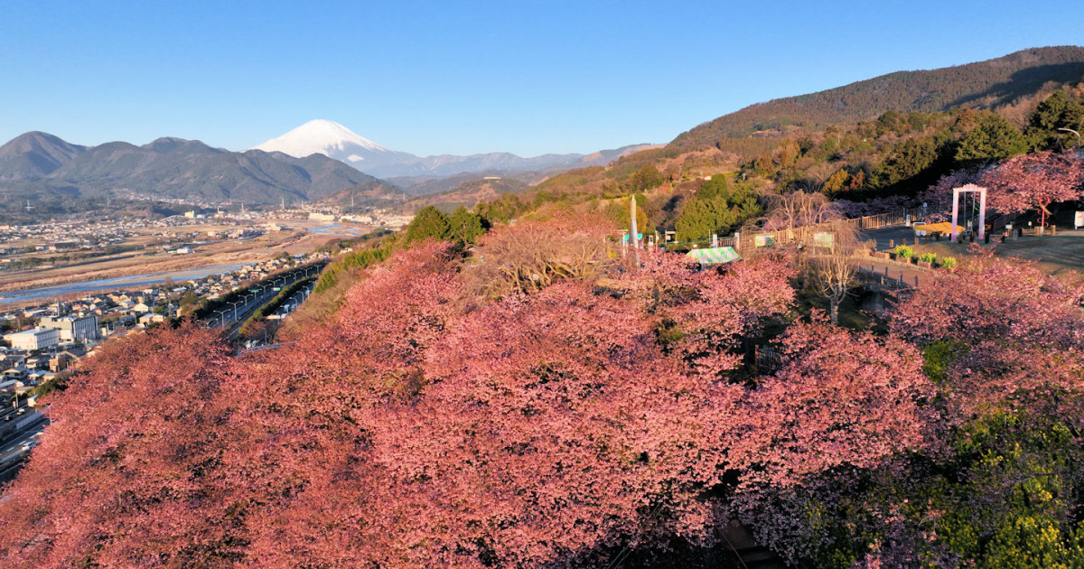 M4VwwETOxTK07t8GCPgr41XW20oEgX