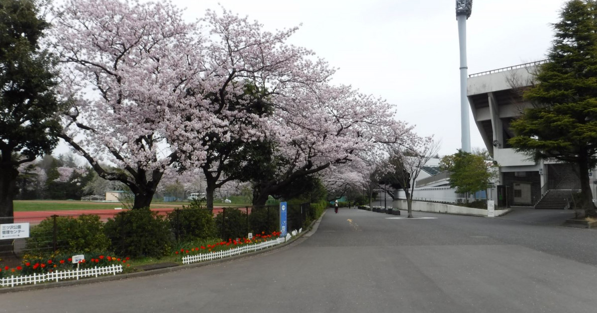 えんそく / いつか君の町にも 神奈川ver. えんそく最初で最後の