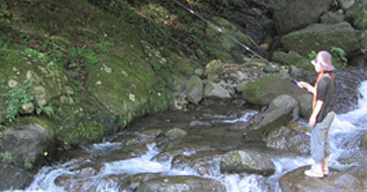 日向渓谷マス釣り場 マス釣り体験・マスつかみ取り体験・バーベキュー 目的地 Tokyo Day Trip