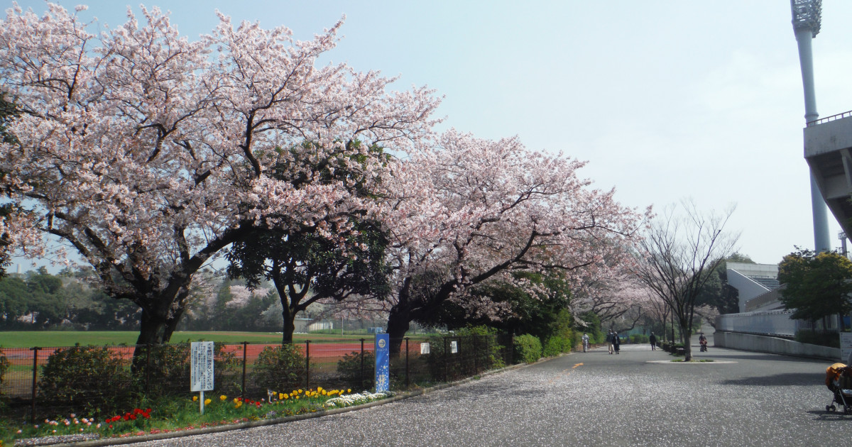三ツ沢公園 目的地 Tokyo Day Trip 東京から神奈川への日帰り旅行