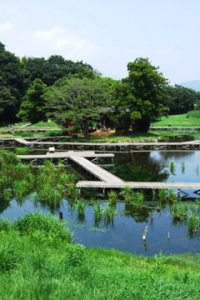 Le parc Itsukushima Shissei