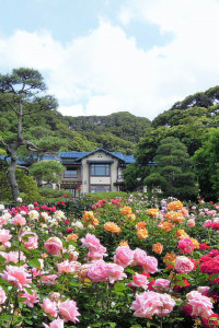 鎌倉文学館