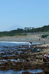 Terugasaki Coast