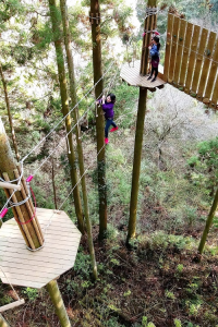 Parc d'aventure dans les arbres Atsugi ・ Nanasawa