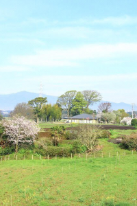 県立茅ヶ崎里山公園