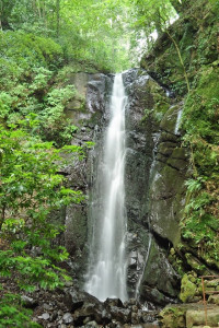 Fudo Falls (Yugawara)