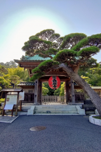 Hase-dera Tempel