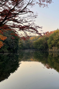 Lac Shinsei-ko