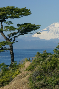 Tateishi Park