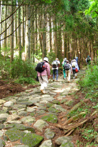 La randonnée d'Hakone 