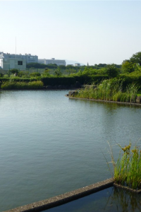 Parque Kawatonofureai (Punto de la buena suerte para la felicidad: el Monte Fuji al revés)