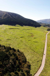 Sengokuhara Susuki Grass Fields