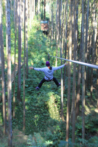 Forest Adventure Odawara