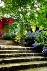 Daiyūzan Saijo-ji Temple