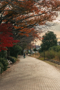 Parque Ichinomiya