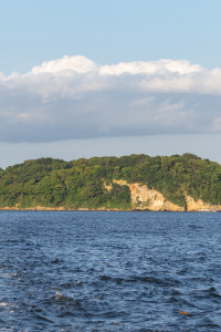Sarushima