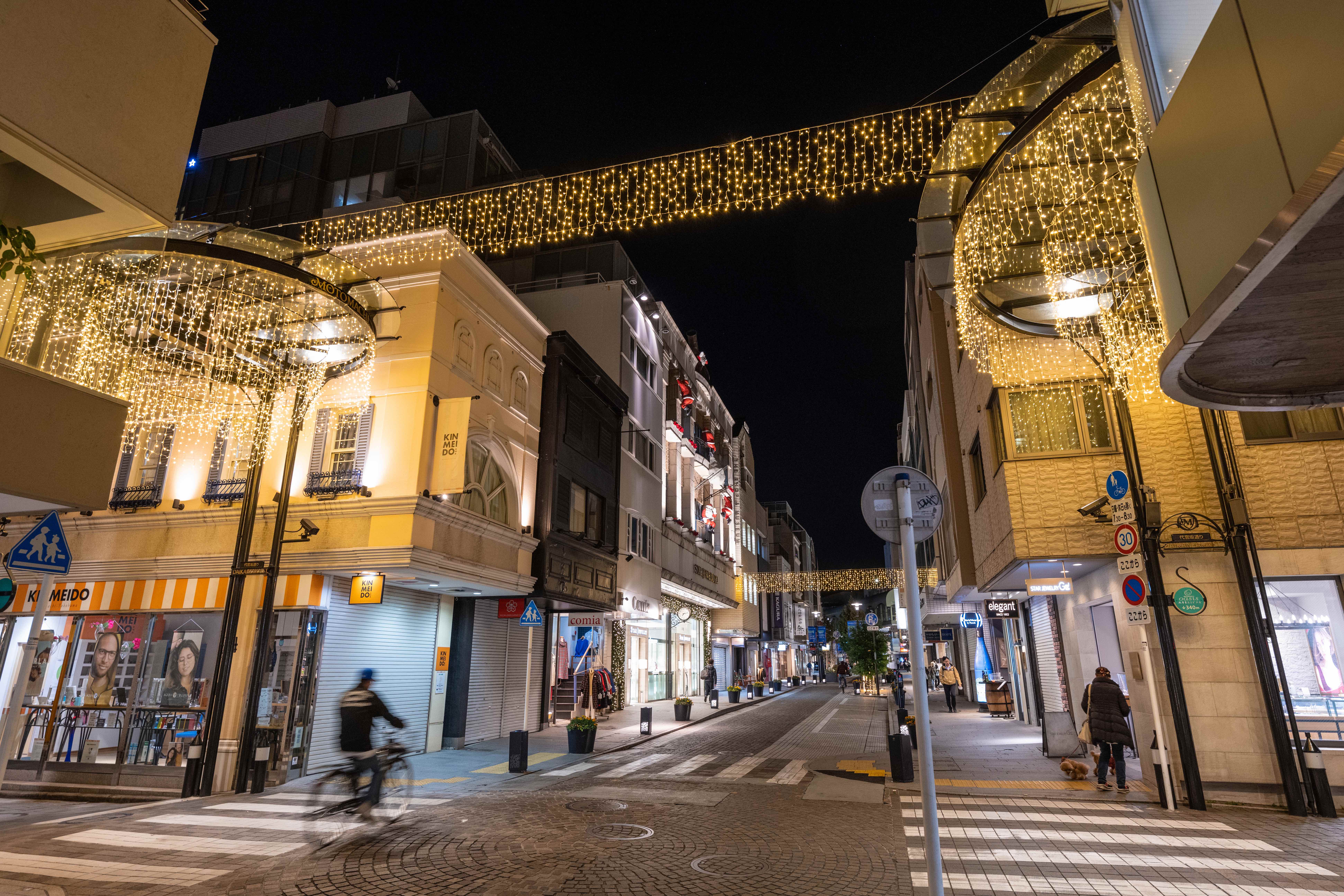 Motomachi Illumination - Destinations - Tokyo Day Trip