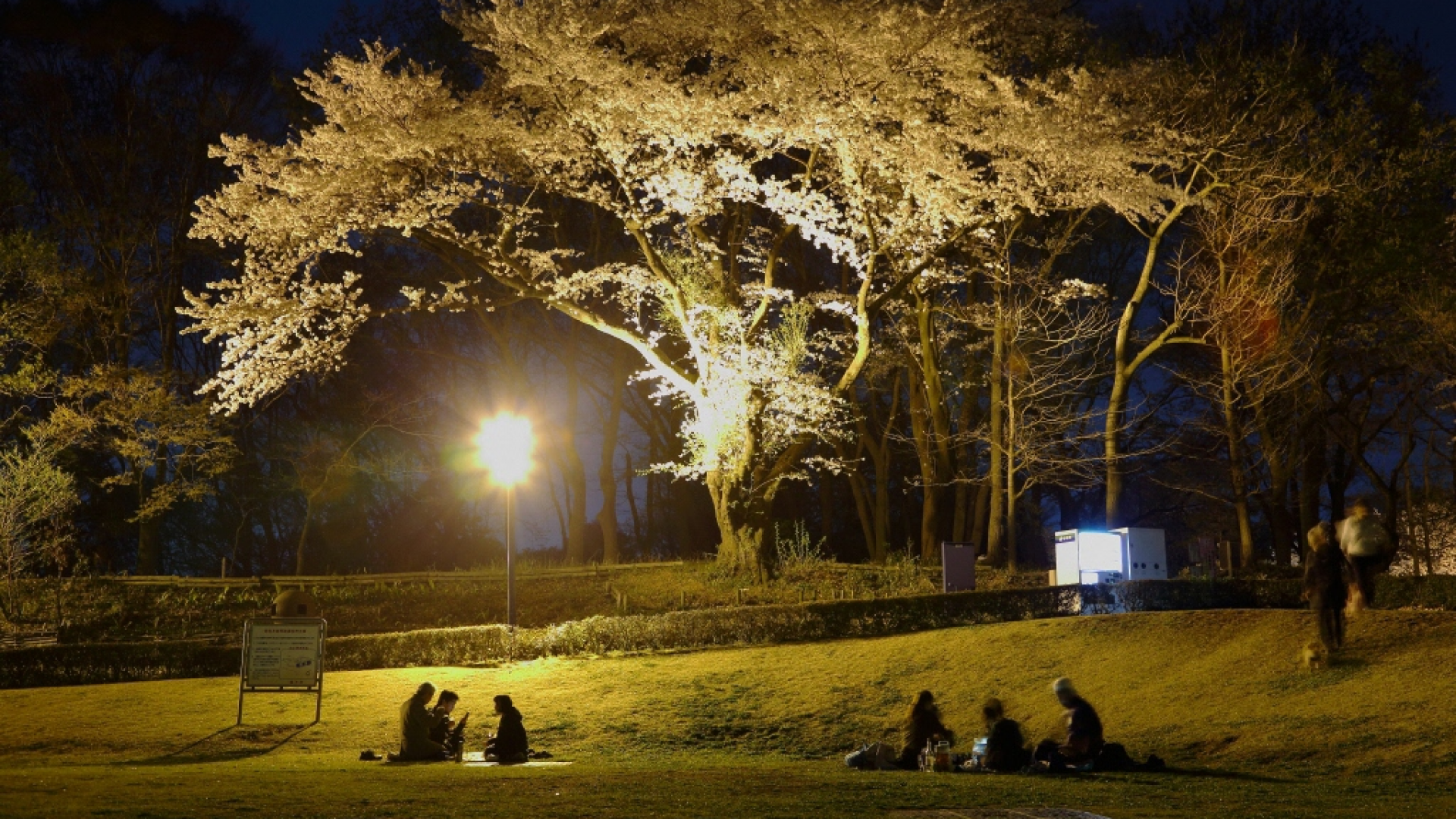 보사이 노 오카 공원 (재해예방 언덕 공원)