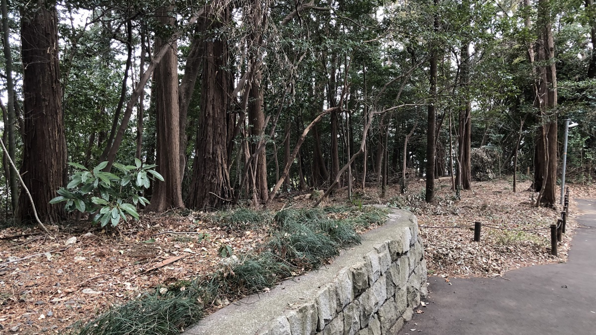 Kamei Rokuro residence site